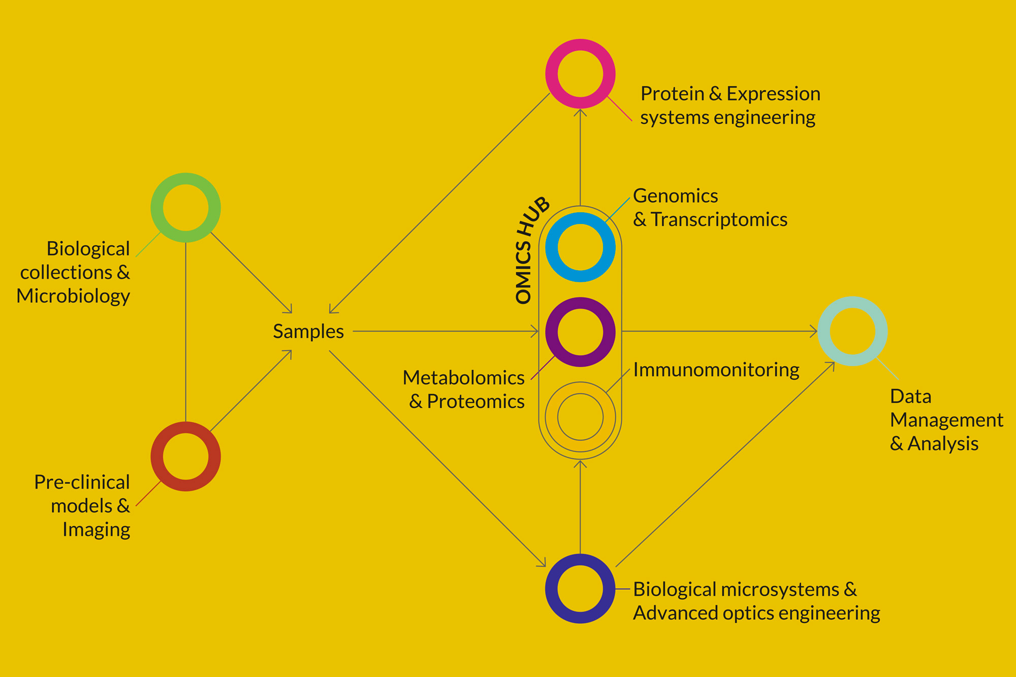 Technology value chain