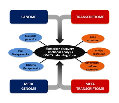 Schema UTEC 2