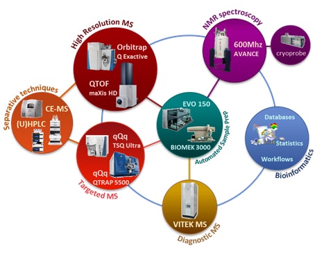 Schema Utec7