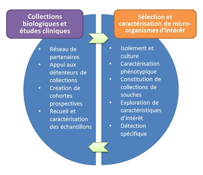 Schema utec1