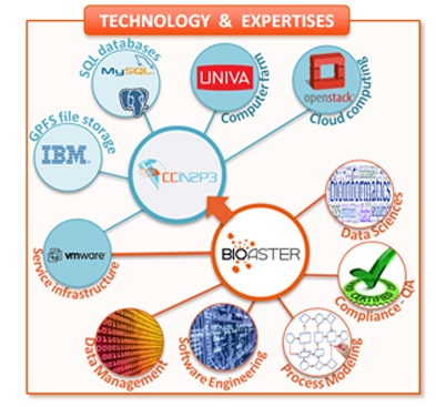 Schema Utec6