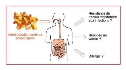 Unite Microbiote