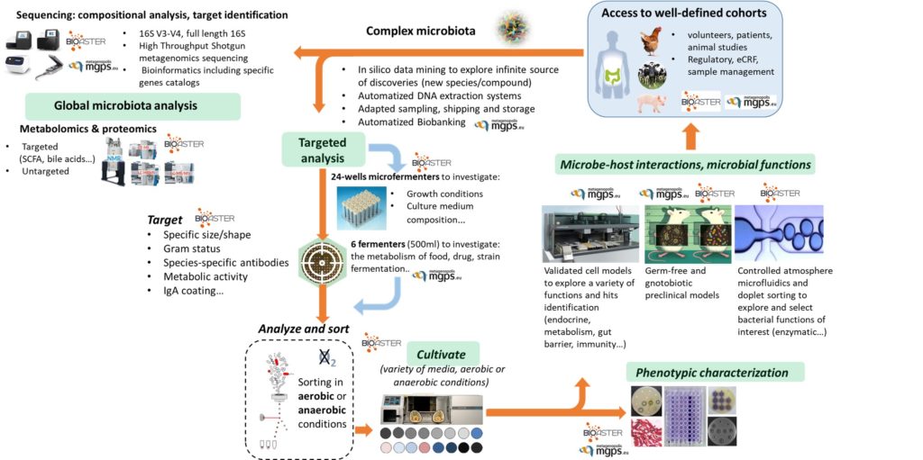 MICROBIOTA; ISOLATOR .PROTEOMICS. MICROFLUIDICS ;METABOLOMICS