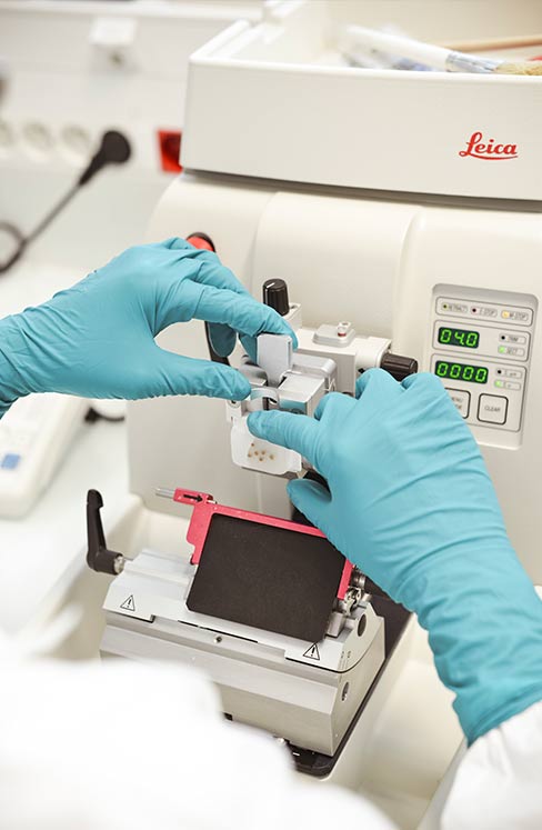 Techno UTEC Preclinical