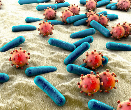 Identify the targets or pathways of an antimicrobial candidate