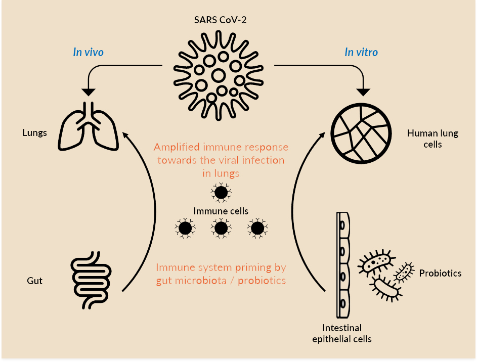 Imagepost microbiote Pileje BEST cropped full