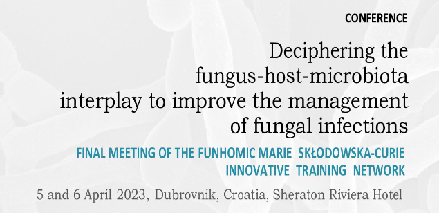 Final meeting of the funhomic Marie Sklodowska-Curie