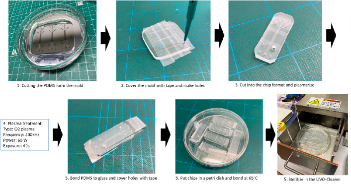 Technology Blod-on-Chip