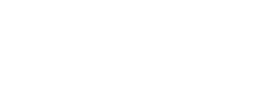 Wordcloud Noso Infection
